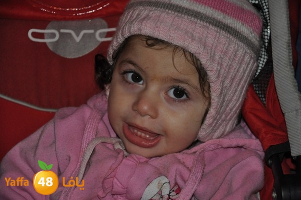 tree light 1208 (66).JPG